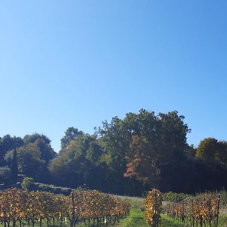 Acero Rosso B&B In Franciacorta Erbusco Kültér fotó